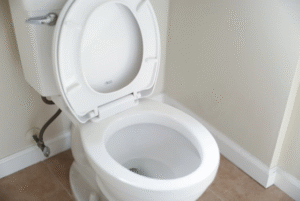 Rhino Rooter helps keep toilets clean and working well, showing a job done right for better bathroom use.