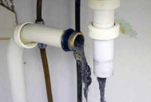 Affordable Professional Drain Cleaning Nearby