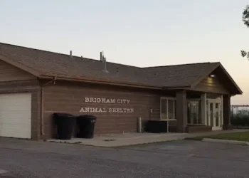 Brigham City Animal Shelter - Things to do - Brigham City, UT
