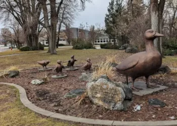 Layton Commons Park - Top Sites - Layton, UT